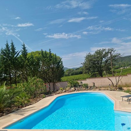 Chambre Face Aux Vignes Vidauban Eksteriør billede
