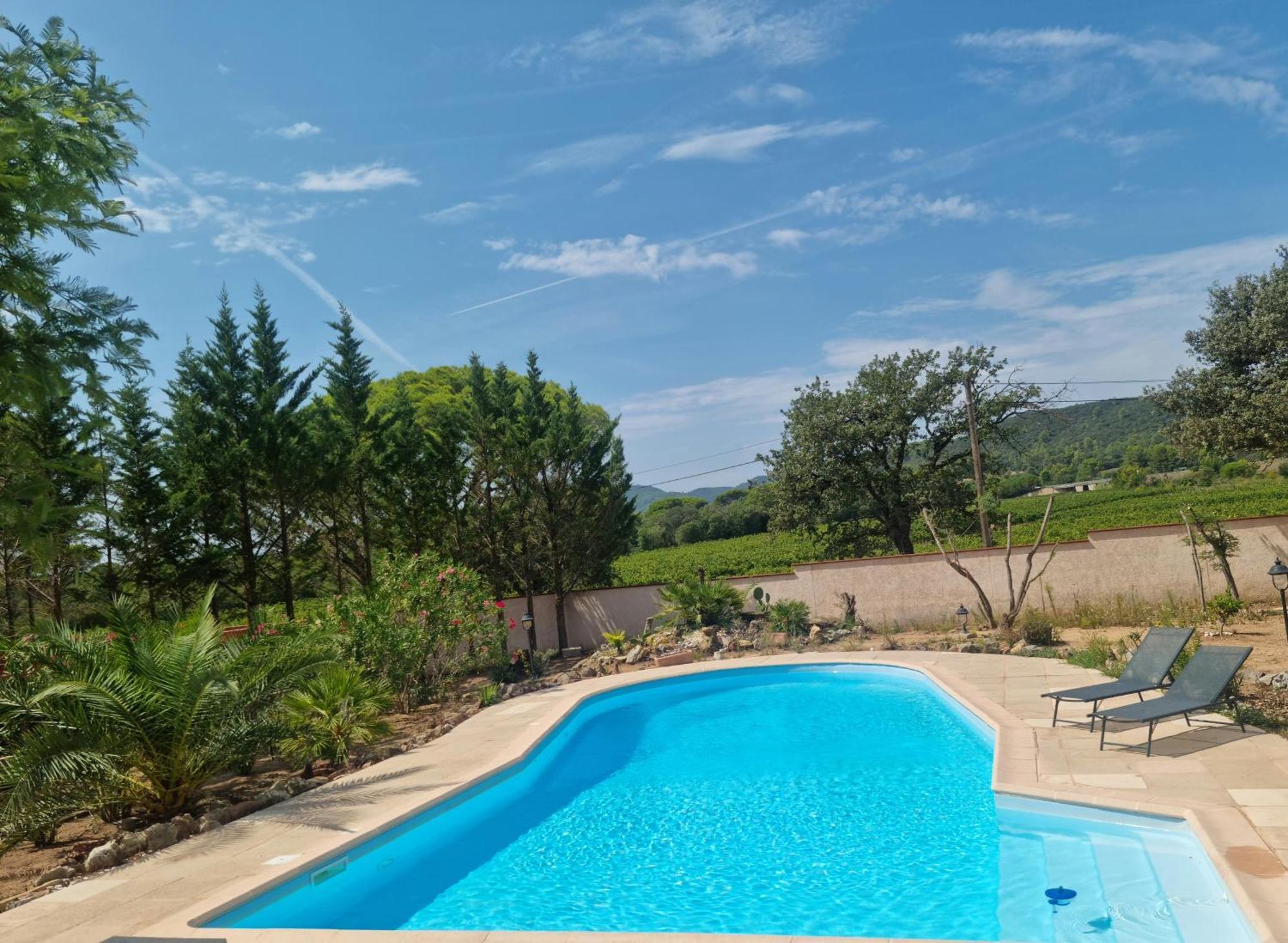 Chambre Face Aux Vignes Vidauban Eksteriør billede